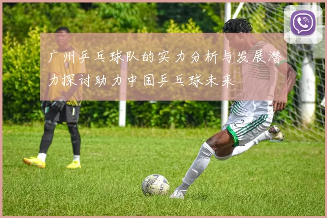 广州乒乓球队的实力分析与发展潜力探讨助力中国乒乓球未来