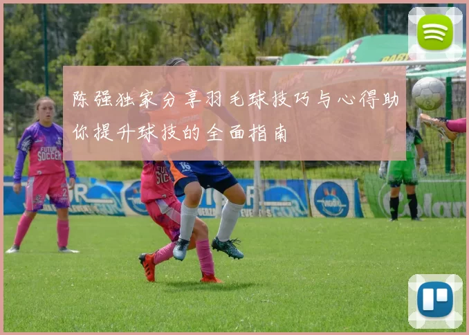 陈强独家分享羽毛球技巧与心得助你提升球技的全面指南