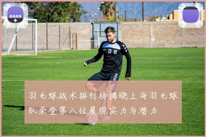 羽毛球战术排行榜揭晓上海羽毛球队荣登第八位展现实力与潜力