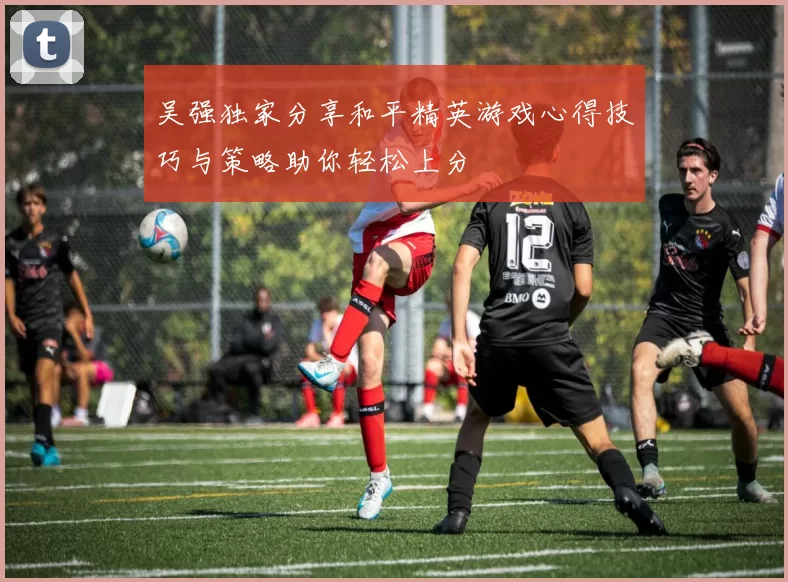 吴强独家分享和平精英游戏心得技巧与策略助你轻松上分