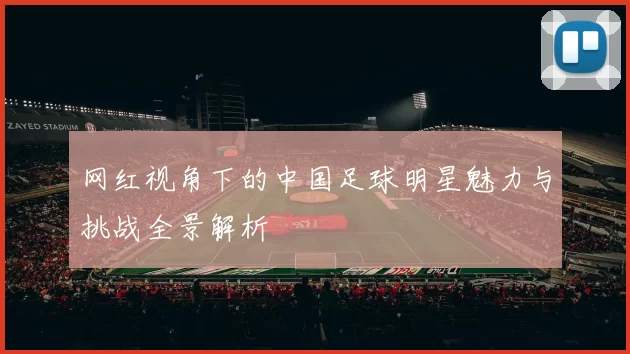 网红视角下的中国足球明星魅力与挑战全景解析