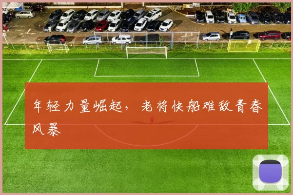年轻力量崛起，老将快船难敌青春风暴