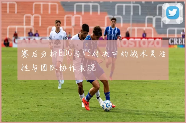 赛后分析EDG与V5对决中的战术灵活性与团队协作表现