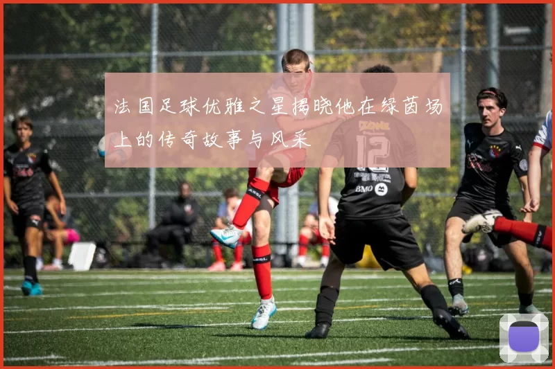 法国足球优雅之星揭晓他在绿茵场上的传奇故事与风采