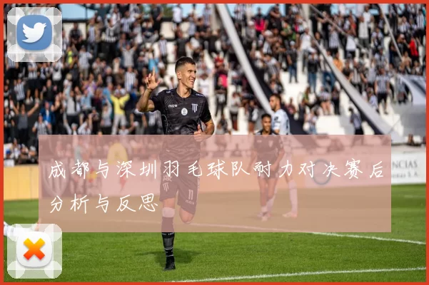成都与深圳羽毛球队耐力对决赛后分析与反思