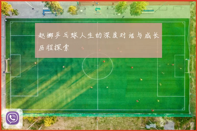 赵娜乒乓球人生的深度对话与成长历程探索