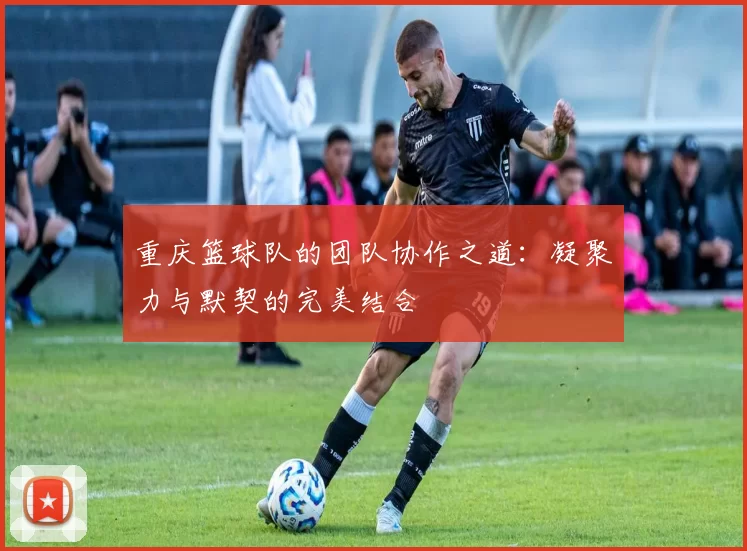 重庆篮球队的团队协作之道：凝聚力与默契的完美结合