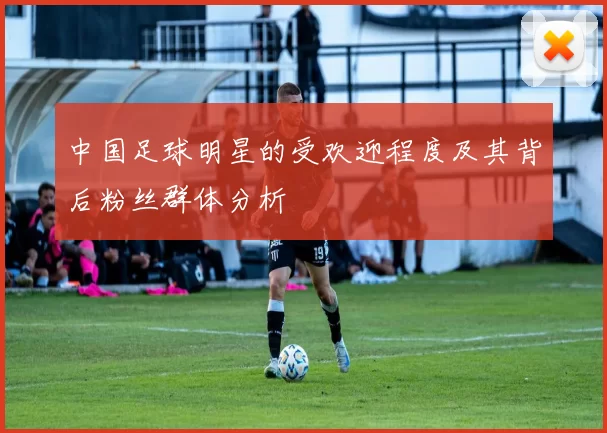中国足球明星的受欢迎程度及其背后粉丝群体分析
