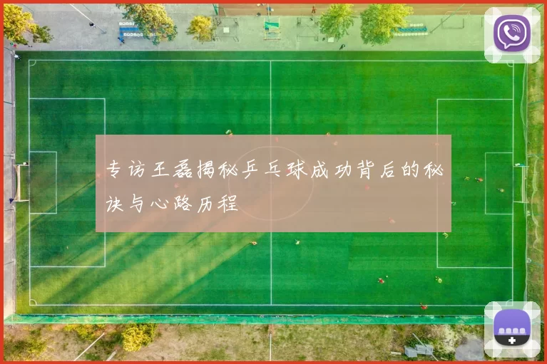 专访王磊揭秘乒乓球成功背后的秘诀与心路历程