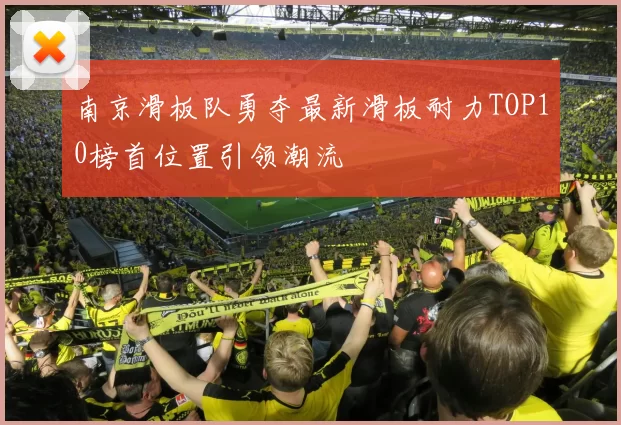 南京滑板队勇夺最新滑板耐力TOP10榜首位置引领潮流