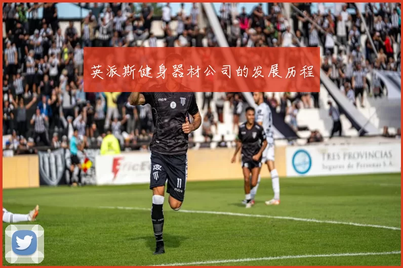 英派斯健身器材公司的发展历程
