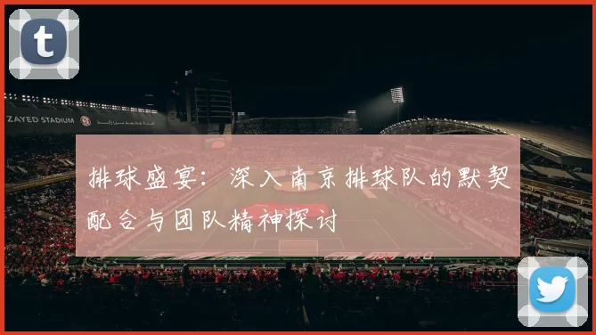 排球盛宴：深入南京排球队的默契配合与团队精神探讨