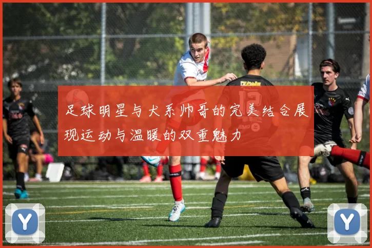 足球明星与犬系帅哥的完美结合展现运动与温暖的双重魅力
