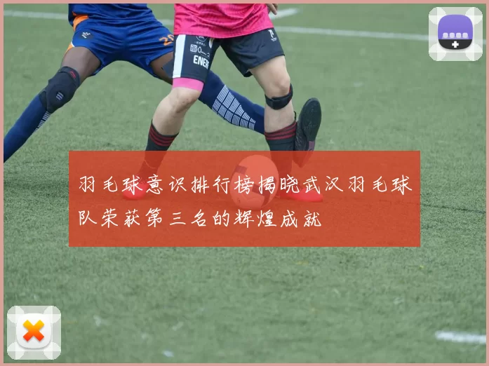 羽毛球意识排行榜揭晓武汉羽毛球队荣获第三名的辉煌成就