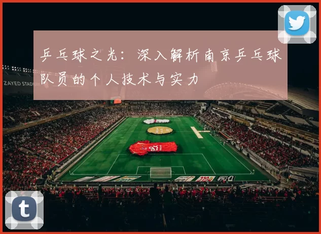 乒乓球之光：深入解析南京乒乓球队员的个人技术与实力