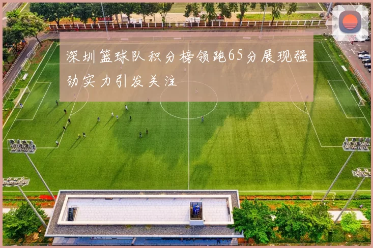 深圳篮球队积分榜领跑65分展现强劲实力引发关注