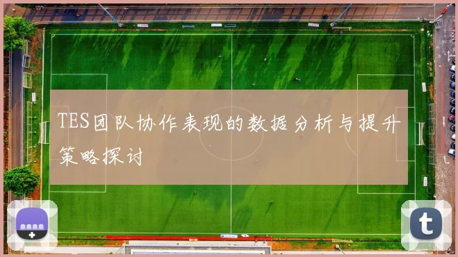 TES团队协作表现的数据分析与提升策略探讨