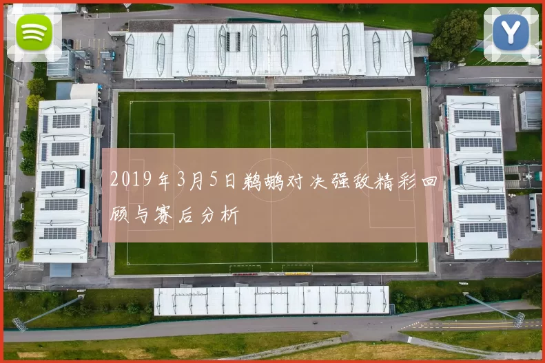 2019年3月5日鹈鹕对决强敌精彩回顾与赛后分析