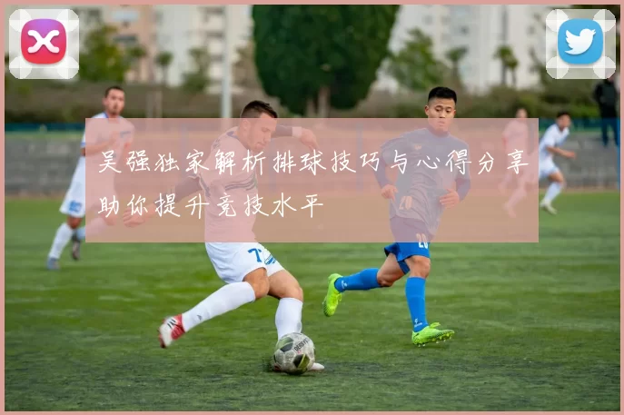 吴强独家解析排球技巧与心得分享助你提升竞技水平