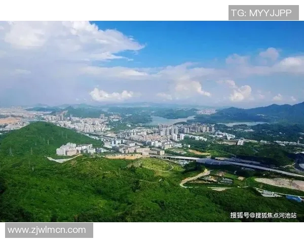 极限运动战术探秘：武汉极限运动队的创新阵地战体系解析